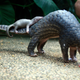 Image: AP